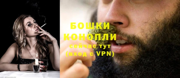 ГАЛЛЮЦИНОГЕННЫЕ ГРИБЫ Арсеньев