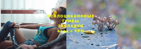 скорость Аркадак