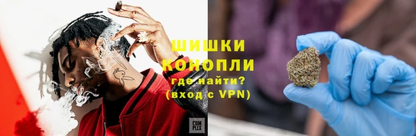 ГАЛЛЮЦИНОГЕННЫЕ ГРИБЫ Арсеньев
