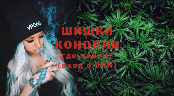 ГАЛЛЮЦИНОГЕННЫЕ ГРИБЫ Арсеньев