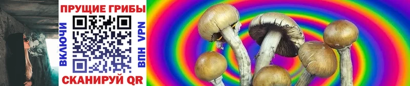 Купить где  Мостовской  Галлюциногенные грибы Psilocybe 